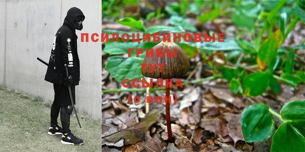 меф Белокуриха