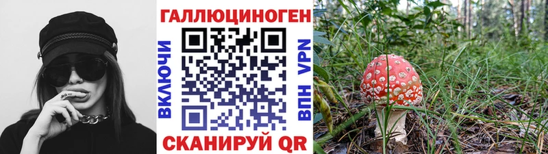 Галлюциногенные грибы Cubensis  Энем 